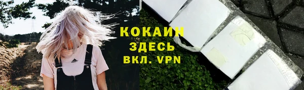 эйфоретик Аркадак