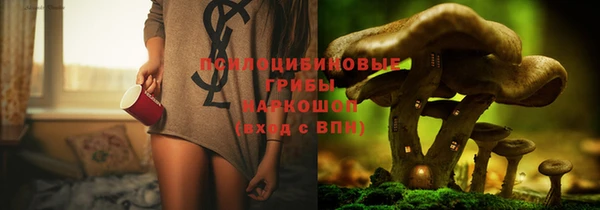 спиды Арсеньев